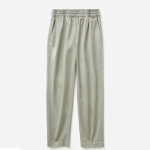 Everlane The Easy Chino
